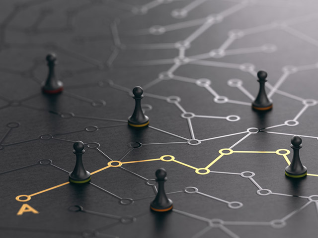 Policy, Development & Strategic Planning