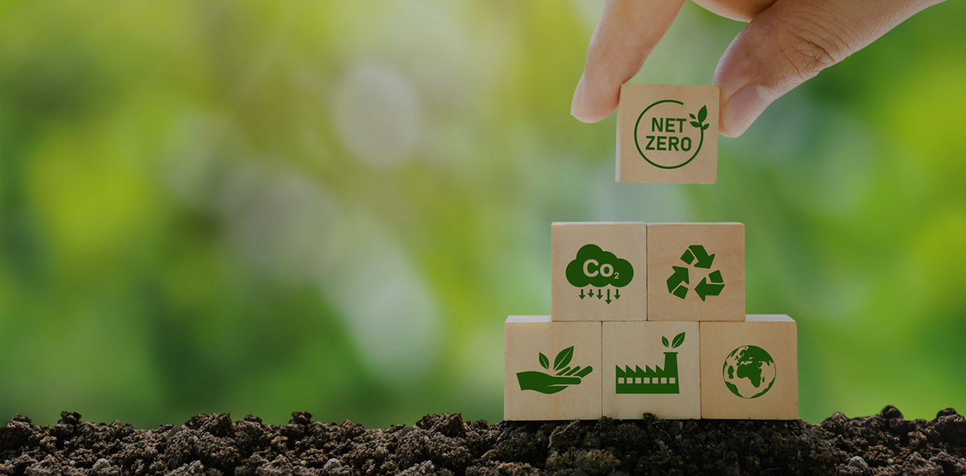 Decarbonized Economy
